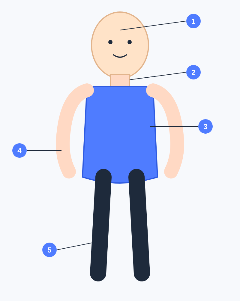 Các phần của cơ thể người
